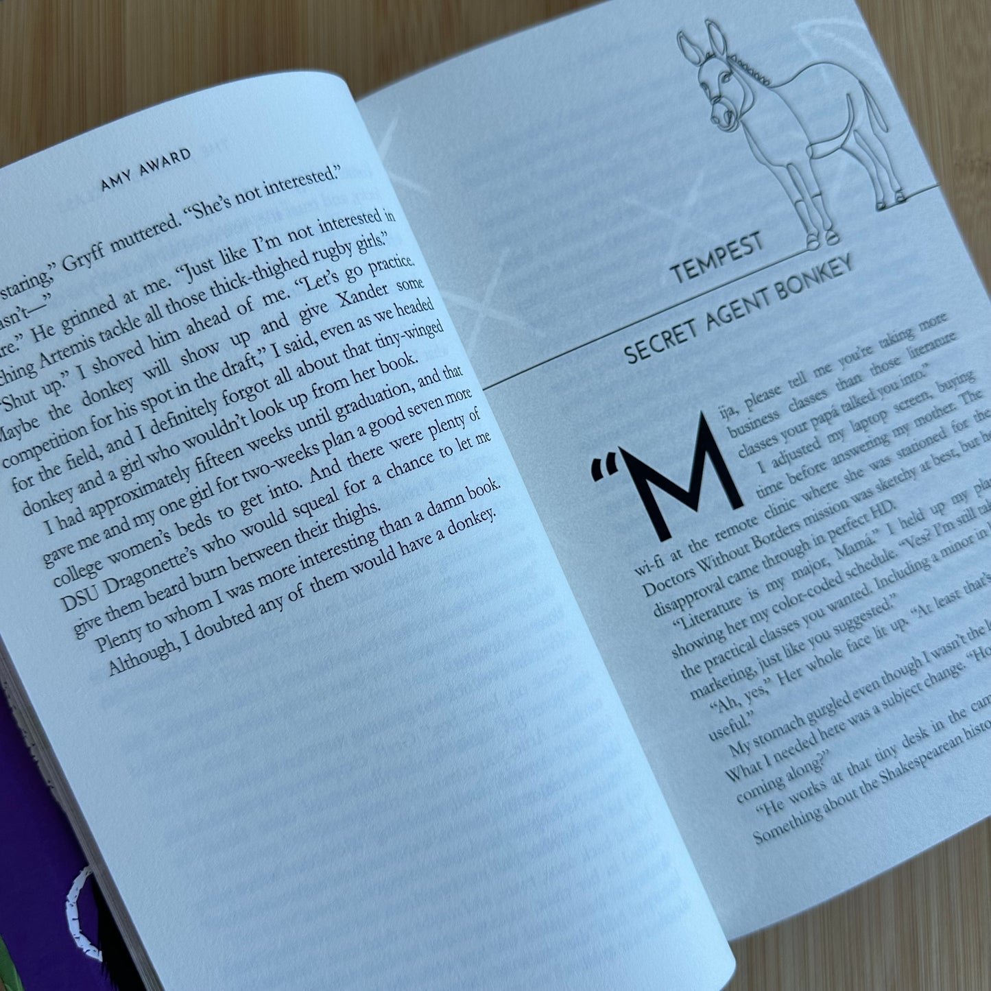 The Jack🫏ss in Class (Cocky Kingmans #5)