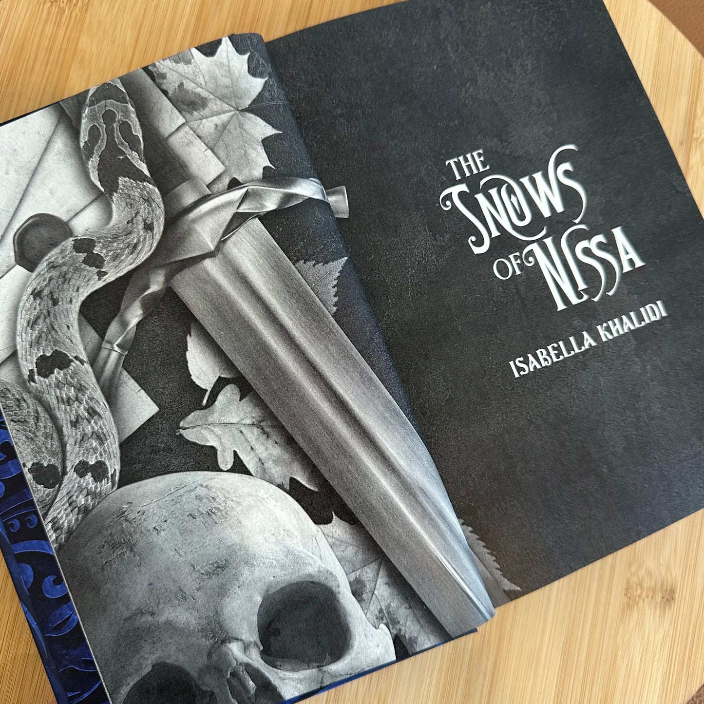 The Snows of Nissa (Forgotten Kingdom Book 1)