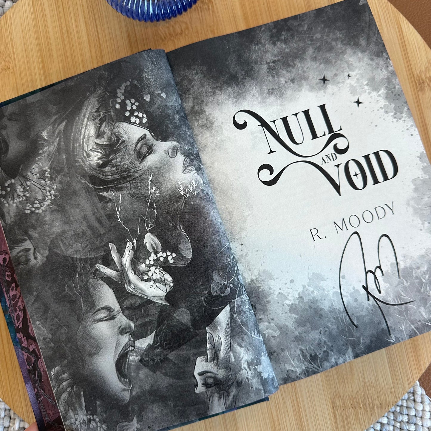 Null & Void (Patrons of the Divine Book 1)
