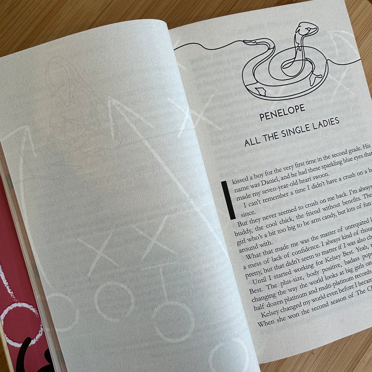 The Anac🐍nda Downstairs (Cocky Kingmans #4)