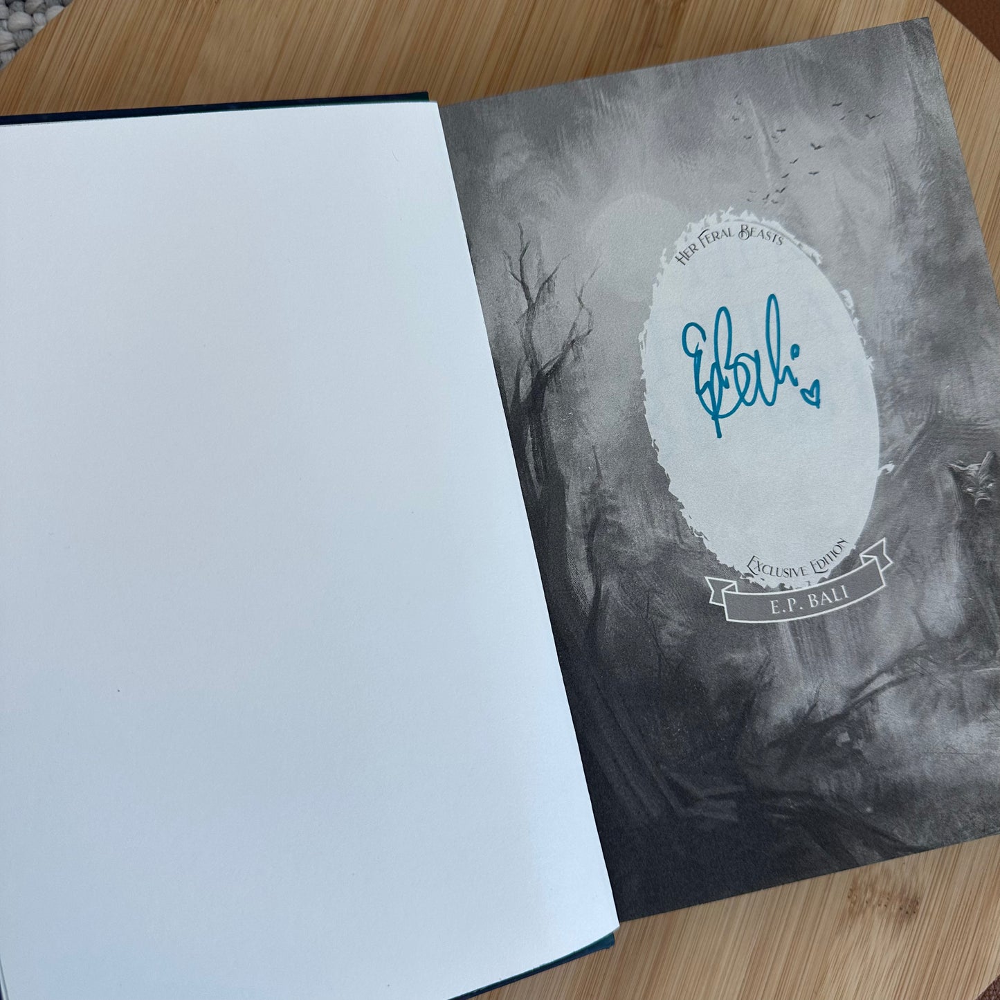 Her Feral Beasts (Her Vicious Beasts #1) + Inclusions