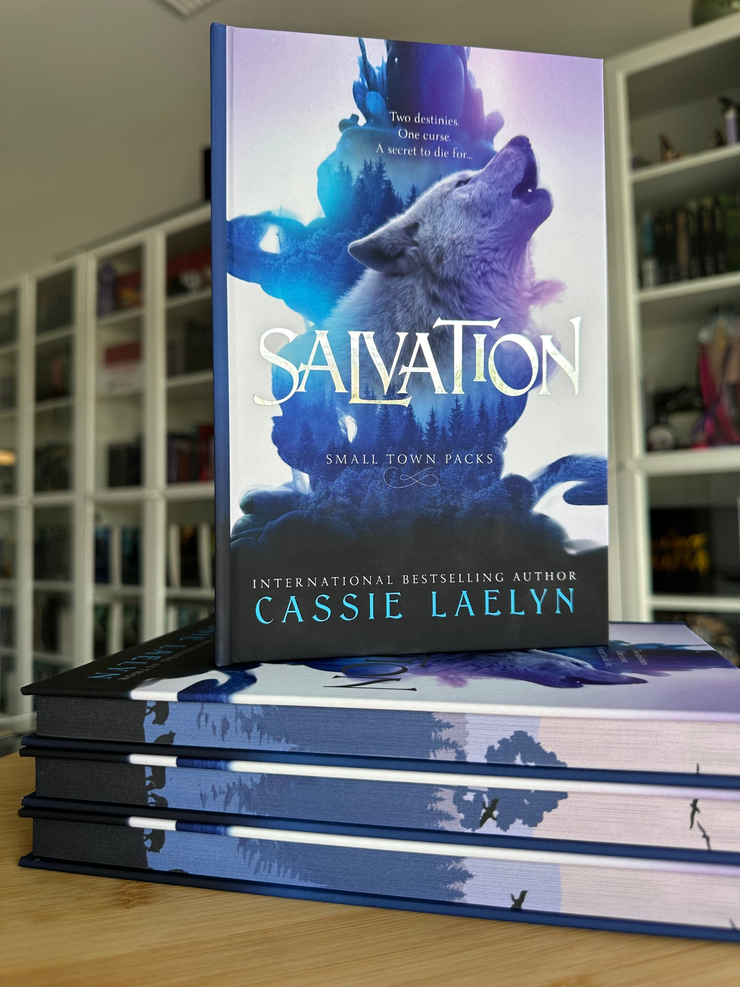 Salvation (Small Town Packs #1)