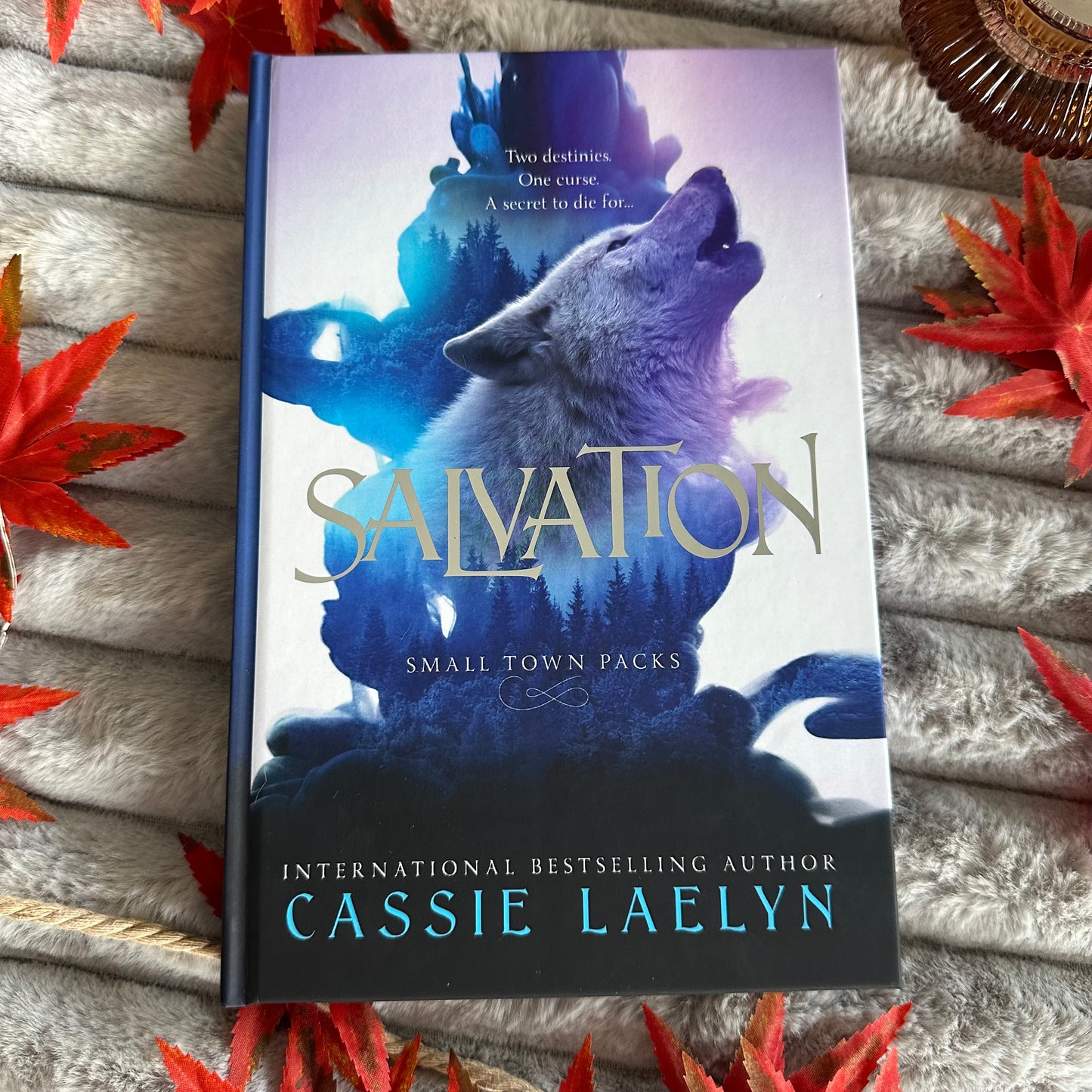 Salvation (Small Town Packs #1)