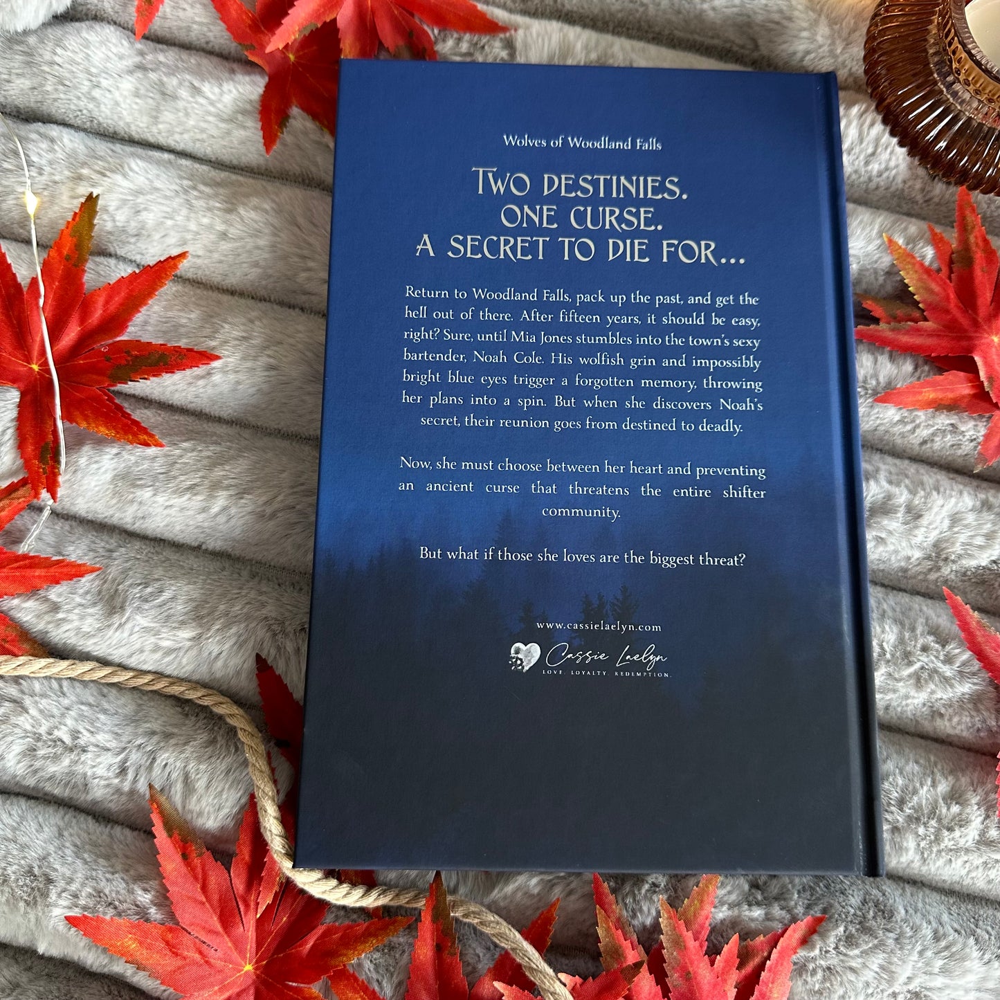 Salvation (Small Town Packs #1)