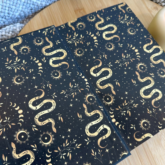 The Storm and the Darkness: A New Orleans Witches Family Saga (The House of Crimson and Clover #1)