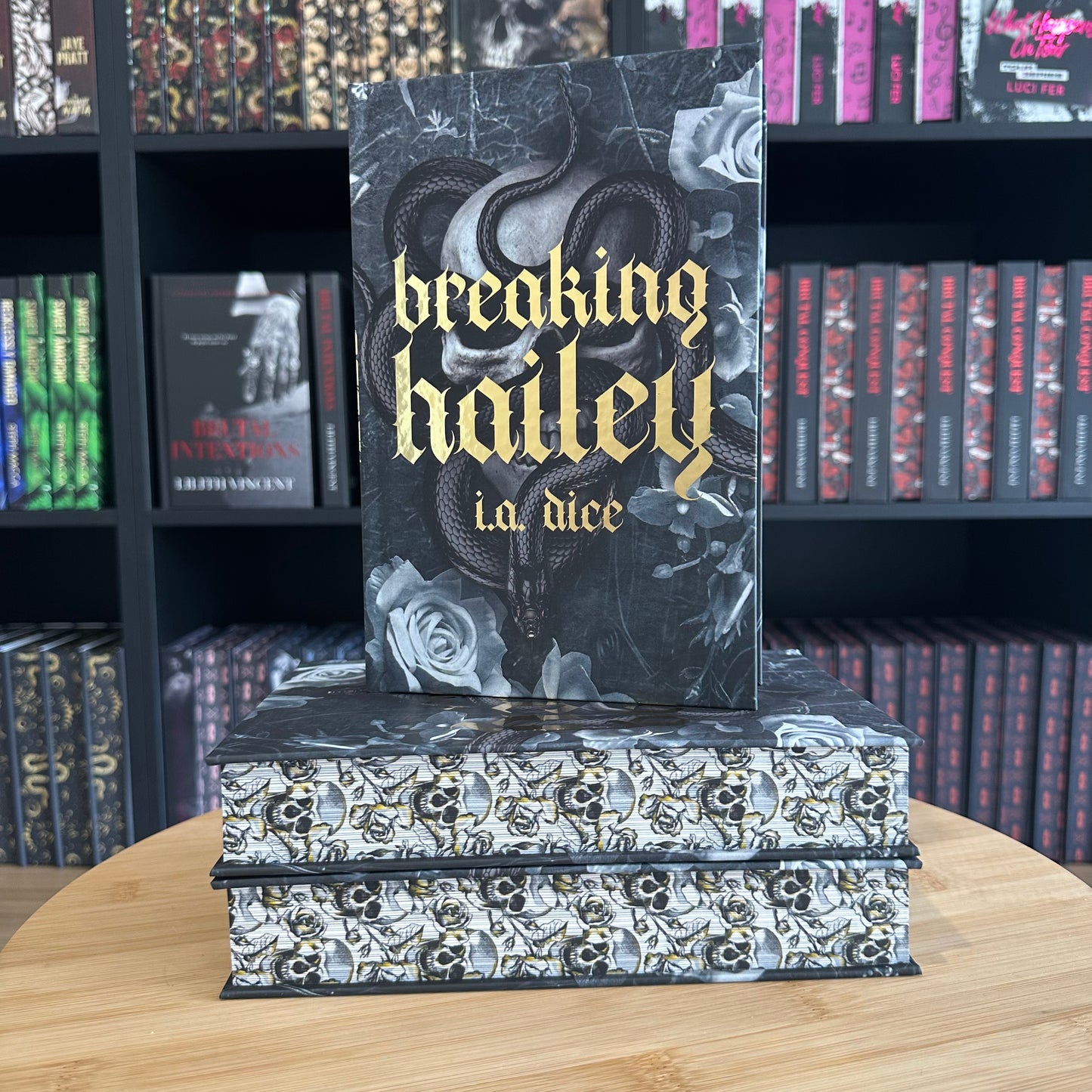 Exclusive Cover: Breaking Hailey (Shadows of Obsession Book 1)